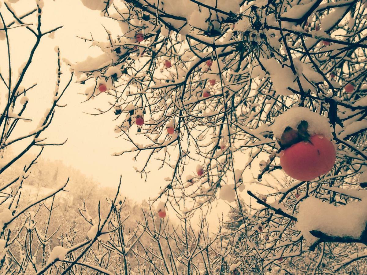 Boscobo - Relax & Natura Bolonya Dış mekan fotoğraf